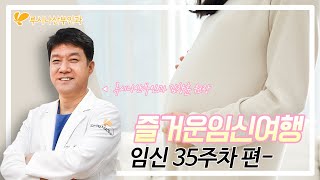 [즐거운 임신여행] 35주