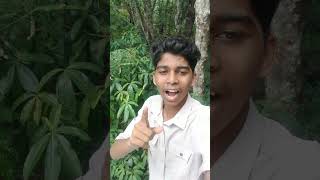 50 വർഷത്തിനുശേഷം 😳minivlog-62  #shortvideo #shorts