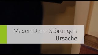 Ursachen für Blähungen und Völlgefühl