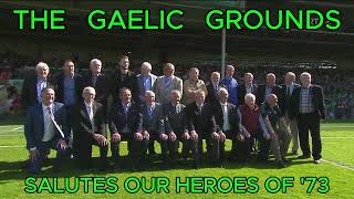 Limerick's 1973 All Ireland champions receive a heartwarming reception at the Gaelic Grounds in 2023