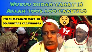 Sh Maxamed Macalin runta ayuu u sheegay Suufiyada