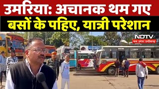 Umaria Bus Strike: अचानक थम गए बसों के पहिए, यात्री परेशान | Madhya Pradesh | Bus Service Halt