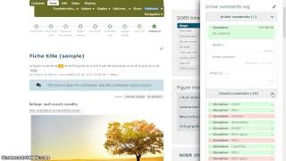 Inline comments