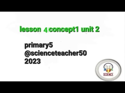 Lesson4 Unit2 Concept1 Youtube