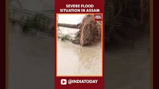 Severe Flood Situation In Assam Due To Incessant Rains | #Shorts