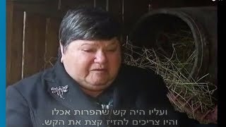 מלכה רוזנטל – מחבוא בחבית