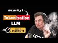What is Tokenization in LLMs? | Tiktoken + Python in 2 Minutes.