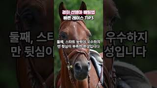 경마 선행마 베팅법! 빠른 레이스 tip3!