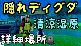 ポケモン剣盾　隠れディグダ　詳細場所　清涼湿原