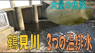 【冬のバス釣り】鶴見川にある3つの温排水を徹底調査してみた