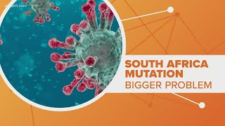 Concerns about the South African variant of the coronavirus | Connect the Dots
