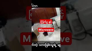 Microwave ထဲ ကြက်ဥကို မထည့်ဘဲ ရှောင်သင့်တဲ့ အကြောင်း#love