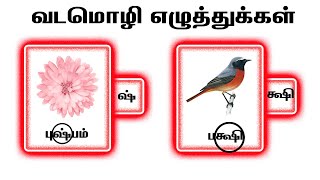 வடமொழி எழுத்துக்கள் | Learn Basic Tamil words |  Animated videos for Tamil | அடிப்படைத் தமிழ்