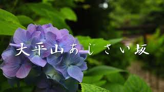 栃木市にはあじさいの名所があり梅雨時には多くの人が訪れます。