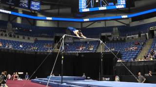 Daniel DiBenedetto - High Bar - 2012 Visa Championships - Jr. Men - Day 2