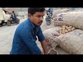 batasingaram fruit market telangana