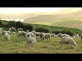 【4k】newzealand｜ニュージーランドの絶景と癒やしのbgm｜オーケストラのリラックス音楽と美しい景色｜ドローン映像