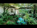 BACKYARD Was Like An AMAZON JUNGLE, Won't Believe The TRANSFORMATION