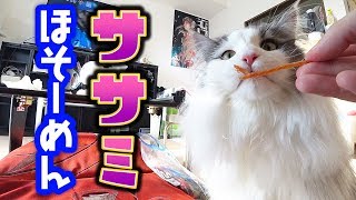 【激ウマ猫用おやつ】やわらかササミほそーめんが大好きすぎるお猫様【はがね先生】