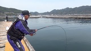 海釣天動画・江田島湾筏チヌ