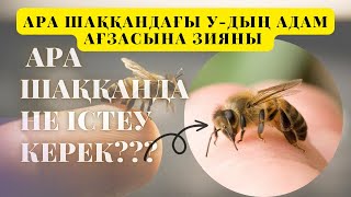 Ара шаққанда не істеу керек |  🐝-ның шаққанынан АДАМ ӨЛІП КЕТУІ ☠️ МҮМКІН бе