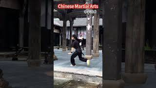 Chinese Kungfu 女孩练习八极拳，一招一式收放自如，铿锵有力！#kungfu #martialarts #wushu #shorts