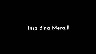 Tere bina Mera | Hindi song | status video | Black Screen | Short video
