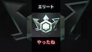 やっとだー❗️やっとエリートだ❗️チャンピオン目標で頑張ります❗️#フォートナイト