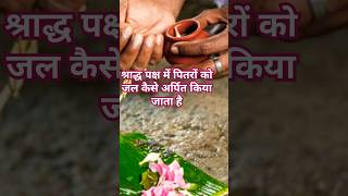 #श्राद्ध पक्ष में पितरों को जल कैसे अर्पित किया जाता है#trending #shraddh paksh#WhatsApp status#🙏🙏#