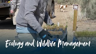 Wildlife Ecology and Management at Utah State University Eastern