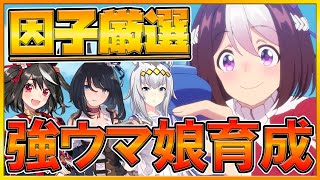 【ウマ娘配信】ハーフアニバカウント開始＆レオ杯対策ウマ娘育成‼採用ウマ娘の脚質考察‼/レオ杯想定ルームマッチ開催/中距離因子厳選/初心者さん歓迎/情報交換所/ウマ娘攻略【プリティーダービー】