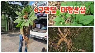 6구만달을 만나다