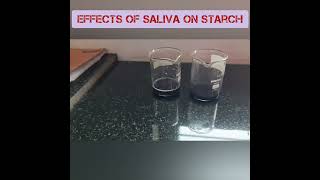 Activity 2.3|| Effects of Saliva on Starch || Class 7 science||STEM Activity