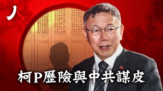 柯文哲從醫生邁向總統選戰，打政治太極拳不行，提升台灣選民信任只能直面對岸| #柯文哲 #柯P #台灣 #中共 #2024|【#人物真相】| #紀元頭條雪兒主播