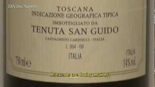 Guidalberto 2007 IGT Bolgheri, Tenuta San Guido - Videodegustazione (Online wine tasting)