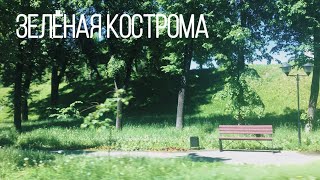 Кострома глазами любительницы зелёного