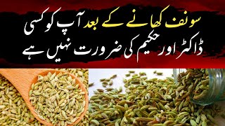 Amazing Health Benefits of Fennel Seeds | Why You Should Use Saunf Daily