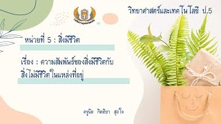 วิทยาศาสตร์และเทคโนโลยี ป.5 เรื่อง ความสัมพันธ์ระหว่างสิ่งมีชีวิตกับสิ่งไม่มีชีวิตในแหล่งที่อยู่