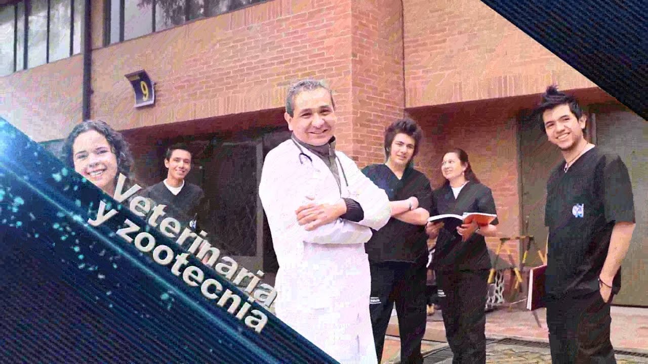 Facultad De Medicina Veterinaria - YouTube