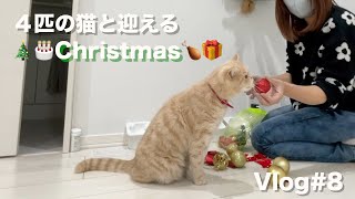 【Vlog】クリスマスの準備｜無関心な猫たち｜プレゼント