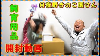 開封動画！月夜野きのこ園さんから昆虫の飼育用品を購入致しました！☆粟國土建☆ Beetle or stag beetle videos