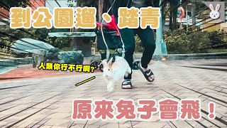 到公園遛踏青！驚見迷樣生物，原來兔子會飛！｜兩隻胖兔兔 侑敏yomin