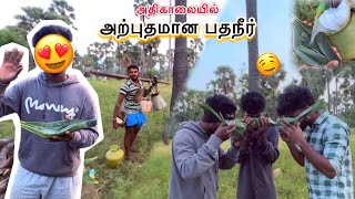 💥🤯அதிகாலையில் நண்பர்களுடன் சேர்ந்து அற்புதமான பதநீர்⁉️💢😱