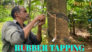 How to prepare a new rubber tree for tapping.!Rubber tapping.റബ്ബർ വെട്ടാൻ പഠിക്കാം എളുപ്പത്തിൽ .!