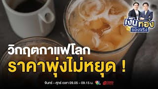 กาแฟถ้วยละร้อย ไม่ใช่เรื่องบังเอิญ เมื่อวิกฤตโลกร้อนถึงแก้วกาแฟ | เงินทองของจริง