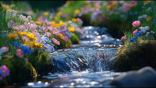 🌵 Beautiful Relaxing Peaceful Music 🌿 Cures for Anxiety Disorders, Depression, Mind Relaxing