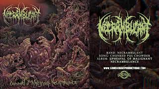Necrambulant - Chunked Pus Chowder | Official Track