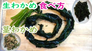 【新物生わかめ】の下処理から食べ方、茎わかめの料理も＃生わかめレシピ＃茎わかめレシピ＃生わかめレシピごま油