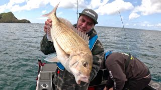 Fishing in the shelter of the mussel farm - another windy Reel Kiwi Fishing adventure in the north