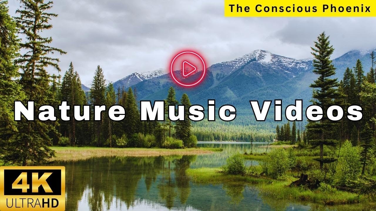 American Forest 4k рџњі Nature Relaxation Film Peaceful Relaxing Piano